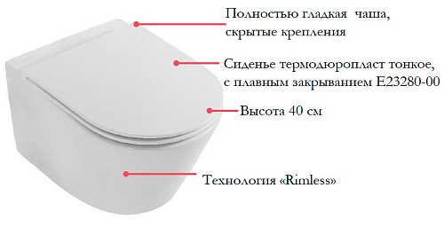 Унитаз подвесной Jacob Delafon Rodin EDY102-00 безободковый без сиденья Унитаз подвесной Jacob Delafon Rodin EDY102-00 безободковый без сиденья