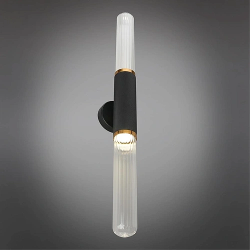 Светильник настенный (Бра) Aployt Brynia APL.307.01.02 Светильник настенный (Бра) Aployt Brynia APL.307.01.02