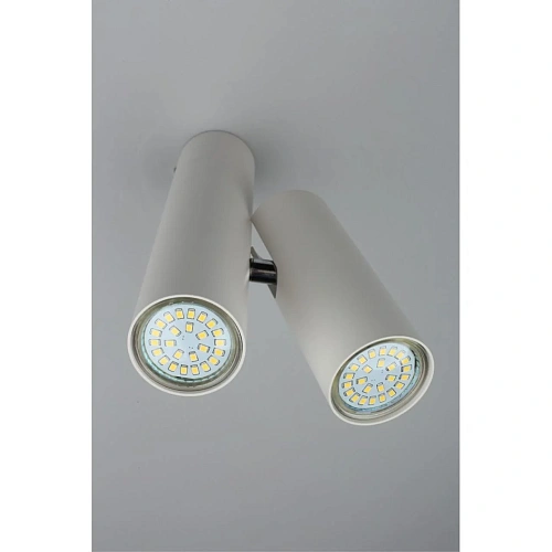 Светильник настенно-потолочный Aployt Aksel APL.006.02.02 Светильник настенно-потолочный Aployt Aksel APL.006.02.02