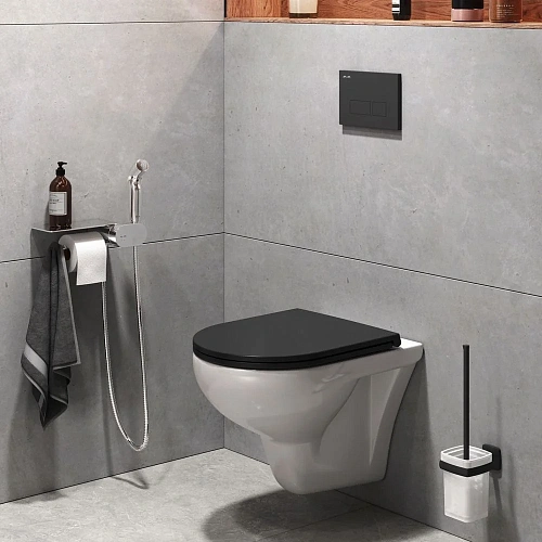 Унитаз подвесной AM.PM Gem CK90H0203W с гигиеническим душем с сиденьем Унитаз подвесной AM.PM Gem CK90H0203W с гигиеническим душем с сиденьем