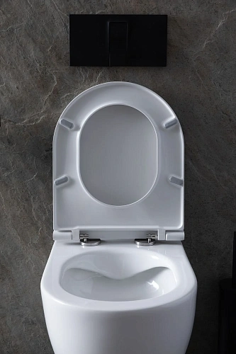 Комплект унитаза Allen Brau Reality 4.32006.20/8.9466.0.000.000.1 (00316510) с инсталляцией, белый глянец Комплект унитаза Allen Brau Reality 4.32006.20/8.9466.0.000.000.1 (00316510) с инсталляцией, белый глянец