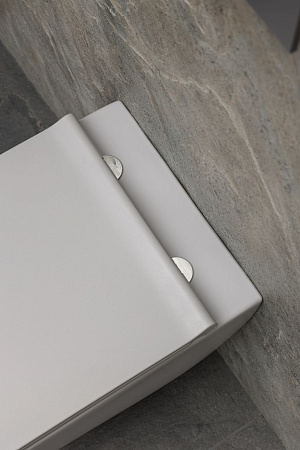 Унитаз подвесной Allen Brau Liberty 4.33007.AN с крышкой, антрацит