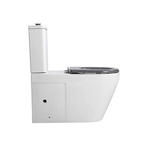 Унитаз напольный Aquatek AQ2213-00 с бачком 800x385x835 для людей с ограниченными возможностями, сиденье дюропласт Унитаз напольный Aquatek AQ2213-00 с бачком 800x385x835 для людей с ограниченными возможностями, сиденье дюропласт