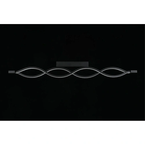 Светильник настенно-потолочный Aployt Nadayn APL.002.12.36 Светильник настенно-потолочный Aployt Nadayn APL.002.12.36