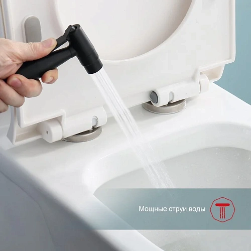 Гигиенический душ Raglo R20.52.06 встраиваемый, черный Гигиенический душ Raglo R20.52.06 встраиваемый, черный