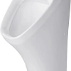Писсуар Duravit DuraStyle 2804310000 30 см белый Писсуар Duravit DuraStyle 2804310000 30 см белый