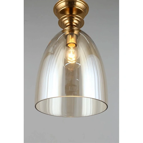 Светильник подвесной Aployt Rena APL.602.06.01 Светильник подвесной Aployt Rena APL.602.06.01