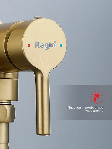 Гигиенический душ Raglo R20.54.03 встраиваемый, сатин золотой Гигиенический душ Raglo R20.54.03 встраиваемый, сатин золотой
