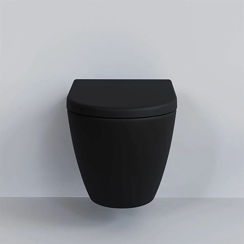 Крышка-сиденье Ambassador Queen 112T20201 (толстое) черное матовое Крышка-сиденье Ambassador Queen 112T20201 (толстое) черное матовое