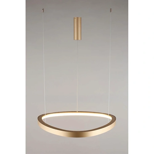 Люстра подвесная Aployt Zula APL.022.03.48 Люстра подвесная Aployt Zula APL.022.03.48