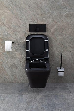 Унитаз подвесной Allen Brau Infinity 4.21011.31 с крышкой, черный матовый