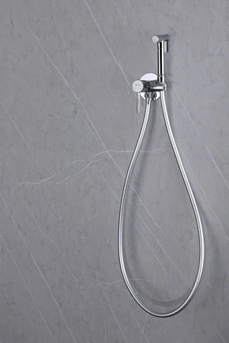 Гигиенический душ ABBER Wasser Kreis AF8125 хром Гигиенический душ ABBER Wasser Kreis AF8125 хром