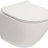 Унитаз подвесной Teso azaro Secretum TAU001 безободковый, цвет белый, сиденье soft-close ультратонк Унитаз подвесной Teso azaro Secretum TAU001 безободковый, цвет белый, сиденье soft-close ультратонк
