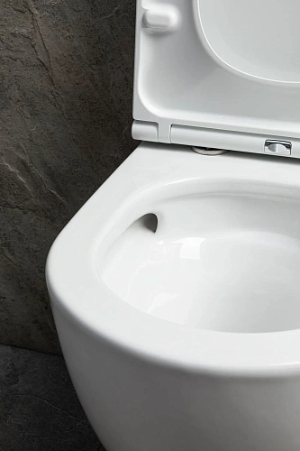 Унитаз подвесной Allen Brau Priority Tornado 4.31009.20 без сиденья белый глянец Унитаз подвесной Allen Brau Priority Tornado 4.31009.20 без сиденья белый глянец