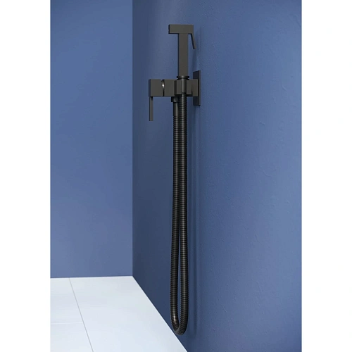 Гигиенический душ RGW Shower Panels SP-212B черный Гигиенический душ RGW Shower Panels SP-212B черный