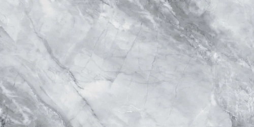 Керамогранит Neodom Supreme Moncervetto Gris 60x120 CV20308 Керамогранит Neodom Supreme Moncervetto Gris 60x120 CV20308