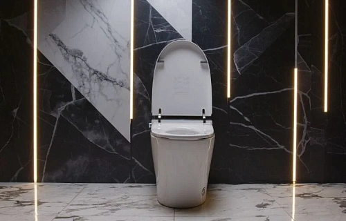Унитаз SMART Panasonic CH2720 электронный белый с сиденьем Унитаз SMART Panasonic CH2720 электронный белый с сиденьем