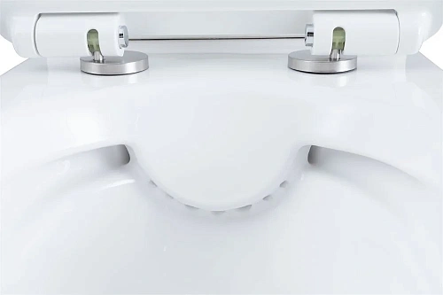 Чаша напольного унитаза Aquanet Rimless Roll 2-C CL-12289 с сиденьем Чаша напольного унитаза Aquanet Rimless Roll 2-C CL-12289 с сиденьем