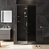 Душевая дверь AM.PM Gem W90G-100-1-195BG 100х195, стекло тонированное, профиль черный матовый Душевая дверь AM.PM Gem W90G-100-1-195BG 100х195, стекло тонированное, профиль черный матовый