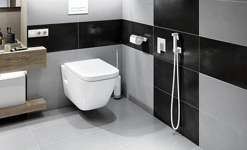 Гигиенический душ Timo Selene 2089/16SM белый матовый Гигиенический душ Timo Selene 2089/16SM белый матовый