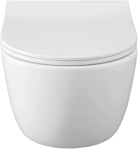 Комплект унитаза Allen Brau Priority 00301296/8.9466.0.000.000.1 (00316508) с инсталляцией, белый глянец Комплект унитаза Allen Brau Priority 00301296/8.9466.0.000.000.1 (00316508) с инсталляцией, белый глянец