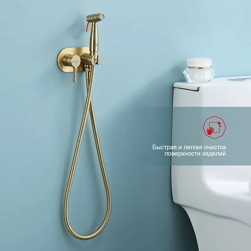 Гигиенический душ Raglo R20.52.03 встраиваемый, золотой сатин Гигиенический душ Raglo R20.52.03 встраиваемый, золотой сатин