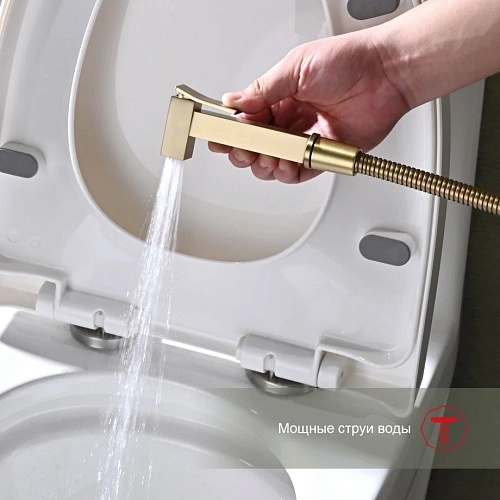 Гигиенический душ Raglo R01.51.03, золотой сатин Гигиенический душ Raglo R01.51.03, золотой сатин