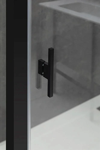 Душевая дверь Allen Brau Priority 120 черный браш 3.31009.BBA Душевая дверь Allen Brau Priority 120 черный браш 3.31009.BBA