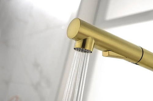 Смеситель для кухни Paulmark NEO светлое золото Ne214419-LG Смеситель для кухни Paulmark NEO светлое золото Ne214419-LG