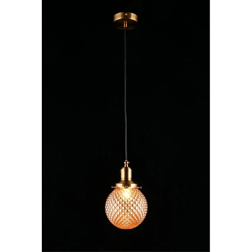 Светильник подвесной Aployt Sofi APL.302.16.01 Светильник подвесной Aployt Sofi APL.302.16.01