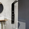 Душевая панель RGW Shower Panels SP-04B черный Душевая панель RGW Shower Panels SP-04B черный