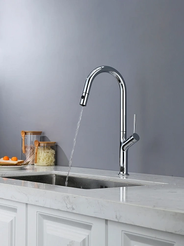 Смеситель для кухни AQUAme Cucina AQM9905CR с выдвижным изливом, с подключением к фильтру с питьевой водой, хром Смеситель для кухни AQUAme Cucina AQM9905CR с выдвижным изливом, с подключением к фильтру с питьевой водой, хром