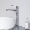 Картинка анонса товара «смеситель для раковины rgw shower panels sp-311 хром»