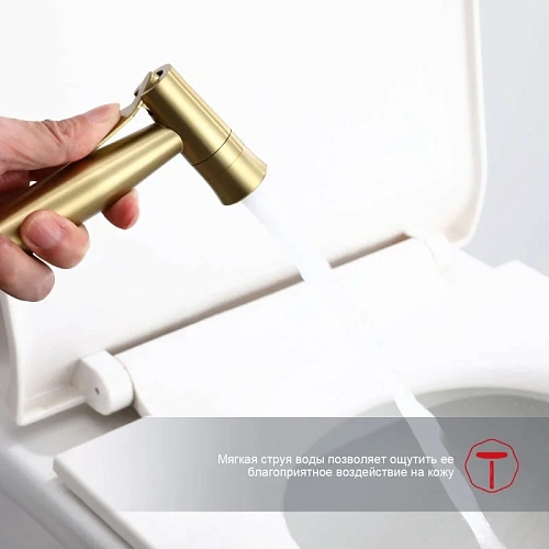 Гигиенический душ Raglo R10.52.03 встраиваемый, сатин золотой Гигиенический душ Raglo R10.52.03 встраиваемый, сатин золотой