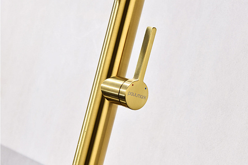 Смеситель для кухни Paulmark Leader брашированное золото Le214101-BG Смеситель для кухни Paulmark Leader брашированное золото Le214101-BG