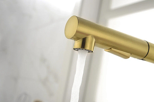 Смеситель для кухни Paulmark NEO светлое золото Ne214419-LG Смеситель для кухни Paulmark NEO светлое золото Ne214419-LG