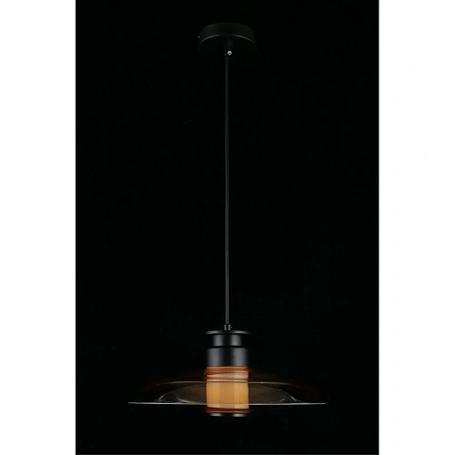 Светильник подвесной Aployt Stefa APL.648.16.10 Светильник подвесной Aployt Stefa APL.648.16.10