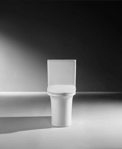 Бачок для унитаза ARROW AS8230D белый Бачок для унитаза ARROW AS8230D белый