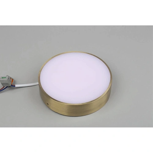 Светильник настенно-потолочный Aployt Evon APL.0114.29.18 Светильник настенно-потолочный Aployt Evon APL.0114.29.18