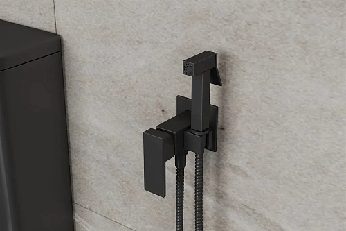 Гигиенический душ RUSH Thira (TR3635-99Black) Гигиенический душ RUSH Thira (TR3635-99Black)