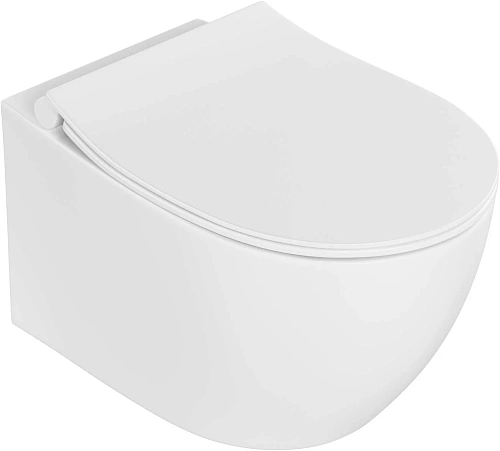 Унитаз подвесной Allen Brau Fantasy 3 Vortex 4.11035.21 сиденье с микролифт белый матовый Унитаз подвесной Allen Brau Fantasy 3 Vortex 4.11035.21 сиденье с микролифт белый матовый