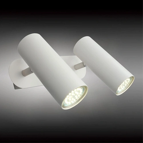 Светильник настенный (Бра) Aployt Rein APL.004.01.02 Светильник настенный (Бра) Aployt Rein APL.004.01.02