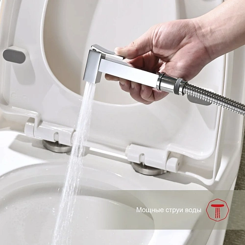 Гигиенический душ Raglo R01.53, хром Гигиенический душ Raglo R01.53, хром