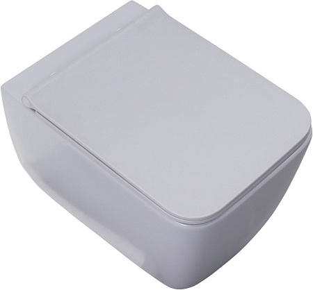 Унитаз подвесной Allen Brau Liberty 4.33007.AN с крышкой, антрацит