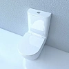 Унитаз напольный Esbano FORTEX-N (ESUNFORTW) White 610x360x810 с крышкой микролифт Унитаз напольный Esbano FORTEX-N (ESUNFORTW) White 610x360x810 с крышкой микролифт