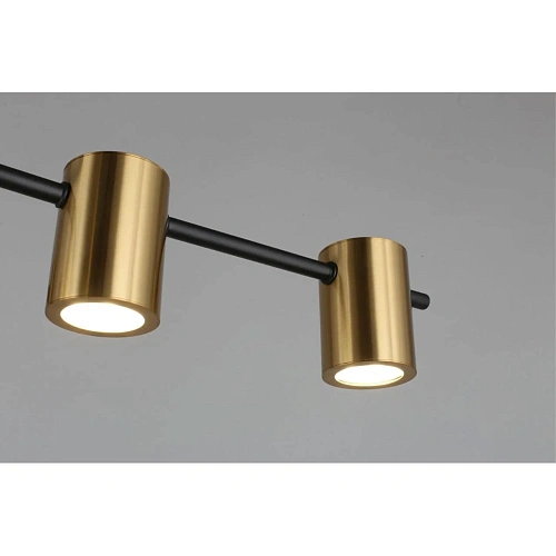 Люстра потолочная Aployt Elwisia APL.633.07.10 Люстра потолочная Aployt Elwisia APL.633.07.10