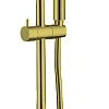 Душевой гарнитур Allen Brau Eclipse 5.E1008-GB золото браш Душевой гарнитур Allen Brau Eclipse 5.E1008-GB золото браш
