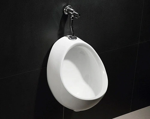 Писсуар CeramaLux Х545P Писсуар CeramaLux Х545P