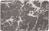 Картинка анонса товара «коврик iddis decor 50x80 (d02m580i12)»