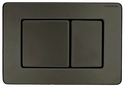 Клавиша смыва CHARUS ROBUSTO FP.310.GNM.05 оружейная сталь Клавиша смыва CHARUS ROBUSTO FP.310.GNM.05 оружейная сталь